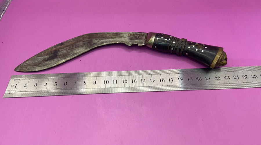 Indian Kukri Knife Brass Lion Head Handle