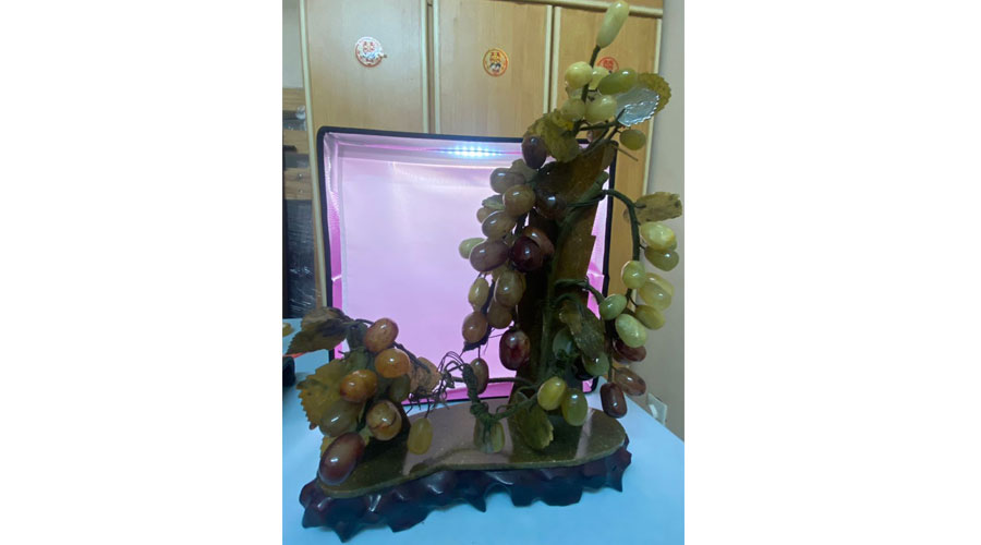 Vintage Stone Grapes Bonsai Tree