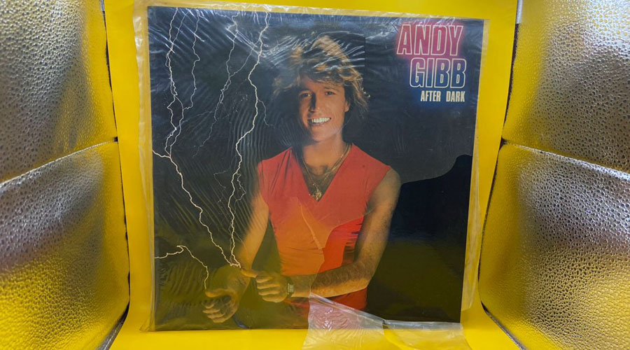 Andy Gibb(After Dark)