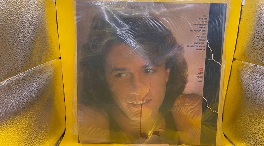 Andy Gibb(After Dark)